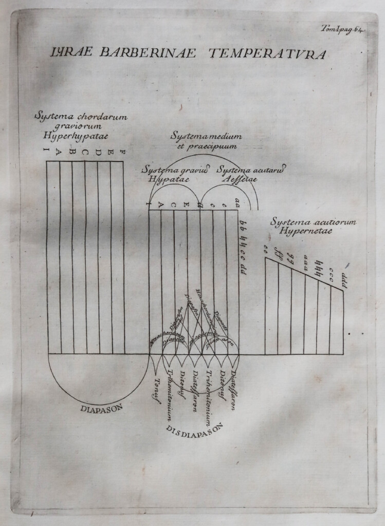 Diagram ze schematem systemu strojenia liry amfichordos.