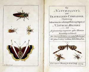 Zdjęcie otwartych kart książki, a na nich ozdobne litery oraz wizerunki owadów.