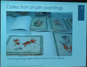 Slajd przedstawiający kolekcję pith paiting ze zbiorów biblioteki w Laiden - przed konserwacją