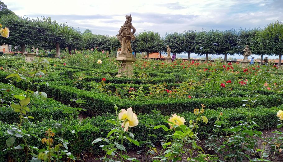 Zdjęcie ogrodu różanego z kamienną figurą.
