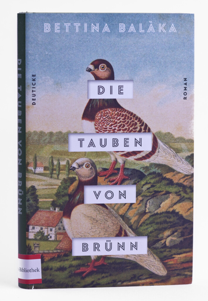 Zdjęcie okładki książki. Na okładce dwa gołębie za nimi krajobraz.