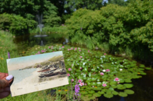 Zdjęcie trzymanej w ręku kartki pocztowej, na której przedstawiono łodzie wyciągnięte na brzeg plaży. Tło dla kartki pocztowej stanowią lilie wodne w ogrodzie BUW.