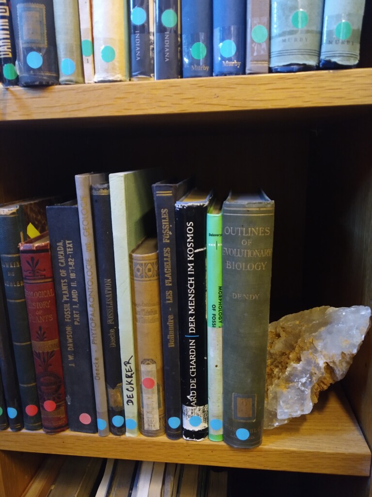 półka z książkami i kamieniem