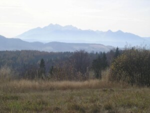 Zdjęcie krajobrazu górskiego, na pierwszym planie łąka, dalej las, w tle wirerzchołki górskie.