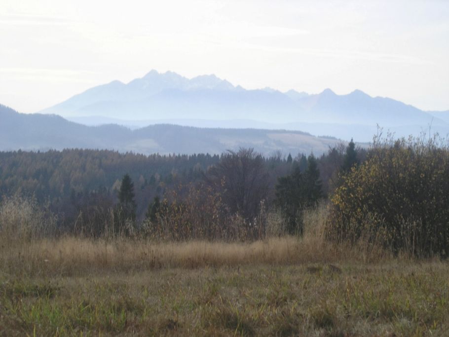Zdjęcie krajobrazu górskiego, na pierwszym planie łąka, dalej las, w tle wirerzchołki górskie.