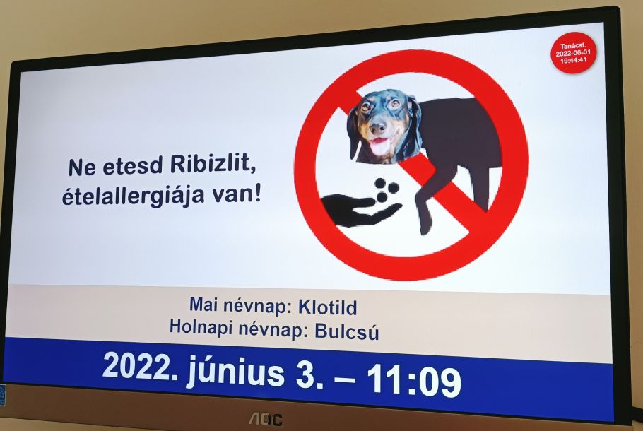 znak zakazu karmienia psa