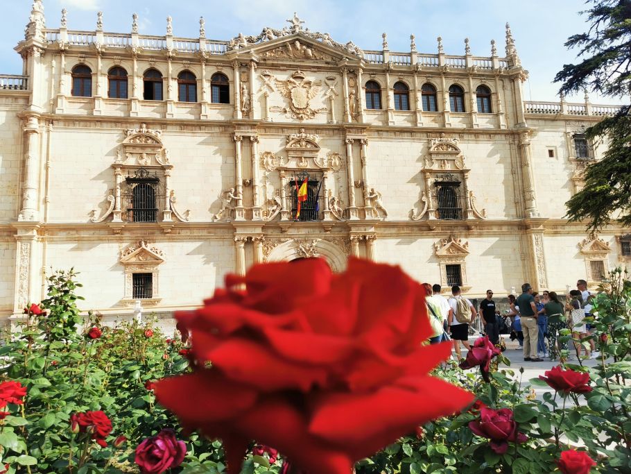 Zdjęcie kwiatu czerwonej róży na tle bogato zdobionej fasady budynku z hiszpańską flagą.