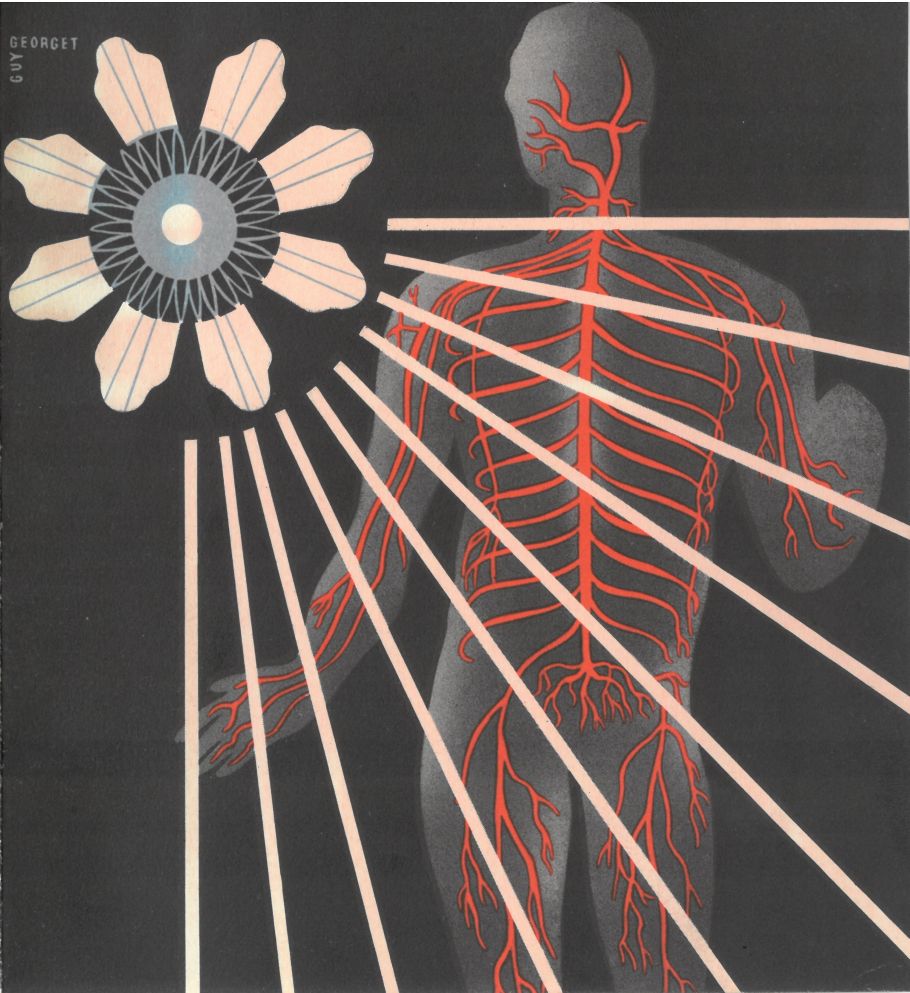 rysunek kwiatu wysyłającego promienie do schematycznie zarysowanego mężczyzny, na którycm narysowano na czerwono schemat układu nerwowego