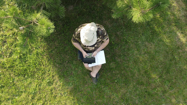 Człowiek czytający książkę pod drzewem. Widok z góry.