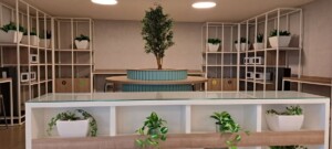 przestrzeń z mikrofalówkami i roślinami doniczkowymi