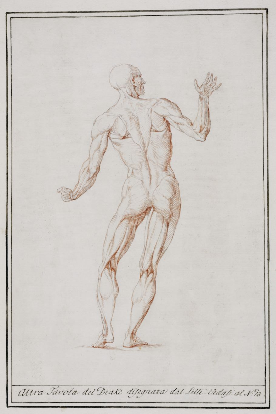 Ercole Lelli