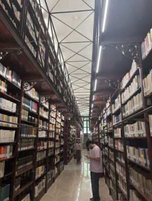 ciąg regałów bibliotecznych z galerią