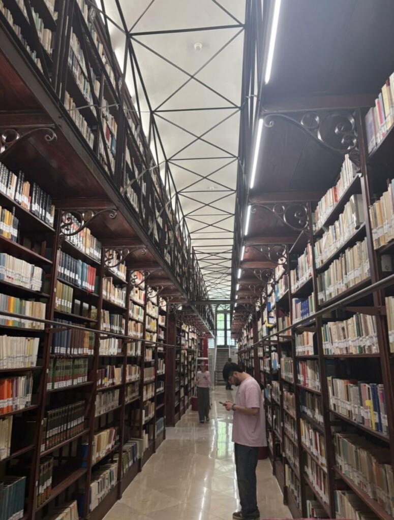 ciąg regałów bibliotecznych z galerią